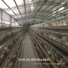 ISO certification fully automatic equipment special layer chicken cage